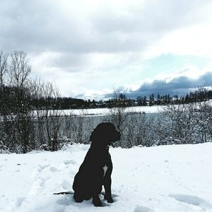 Meet your Posher, Tarah